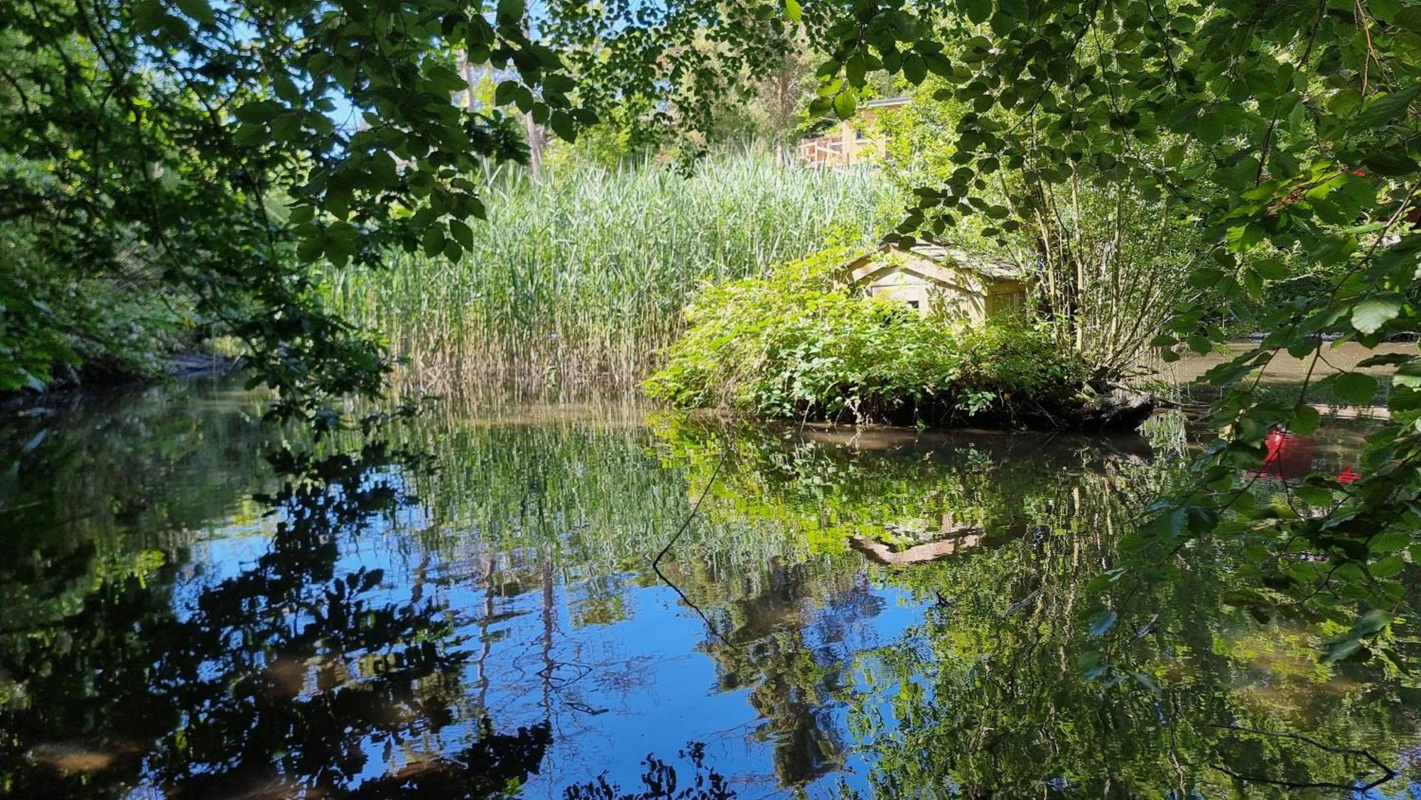 Апартаменты The Duck House Бармут Экстерьер фото